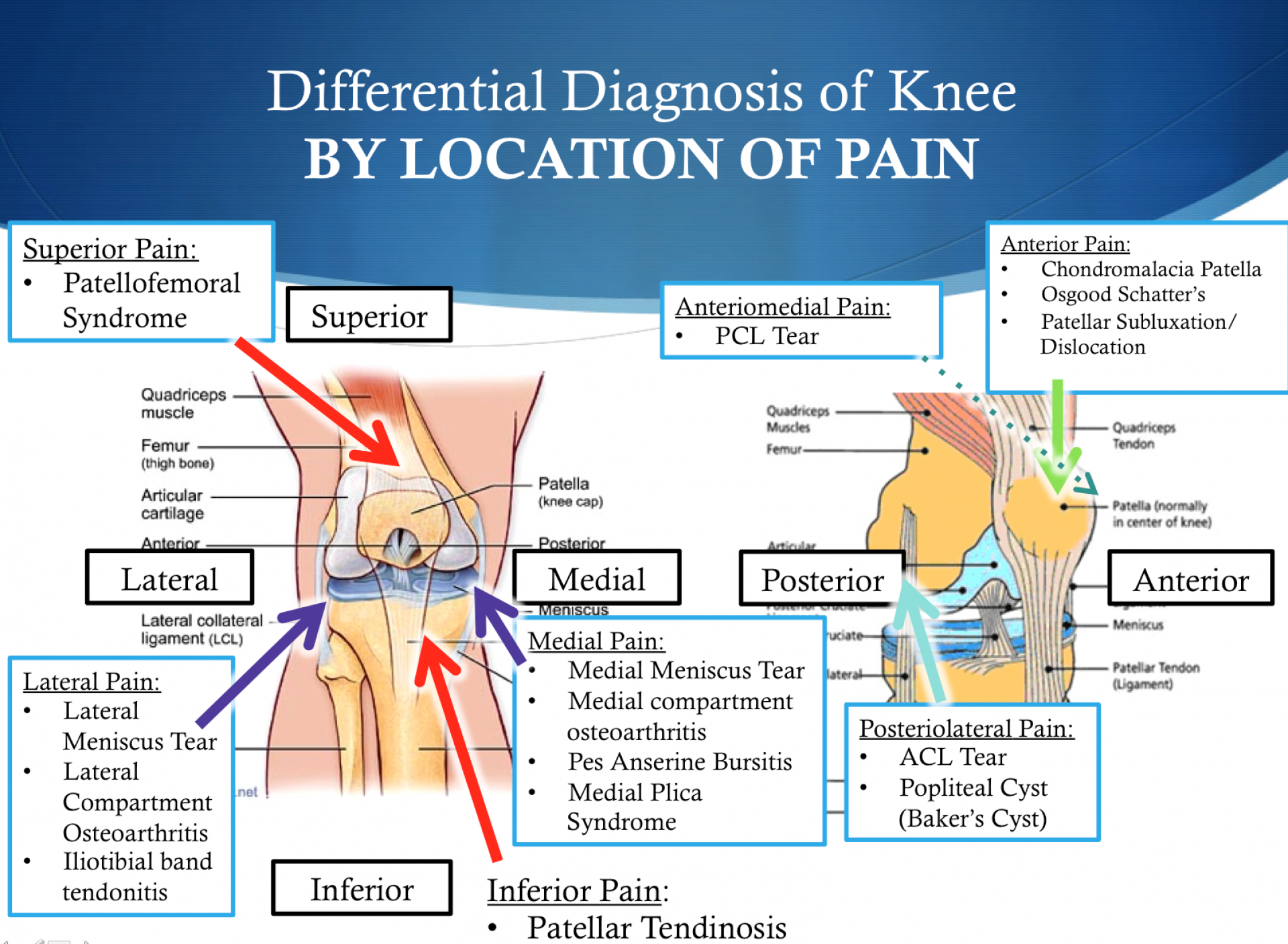 How To Diagnose Knee Problems Healthy Knees Club