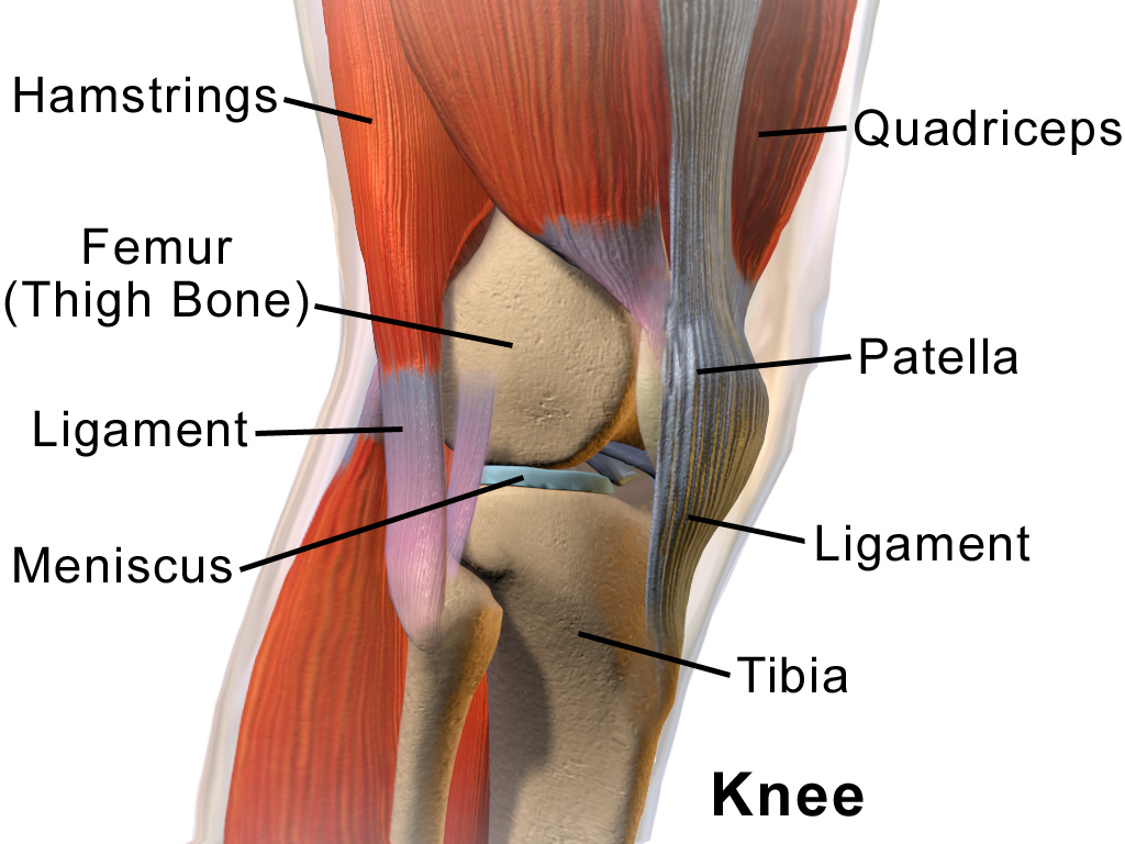 Pain Behind Knee Bothering You?
