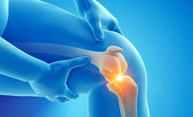 Regrow cartilage in joints? Science says you can